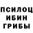Галлюциногенные грибы Magic Shrooms JeMappellePelle