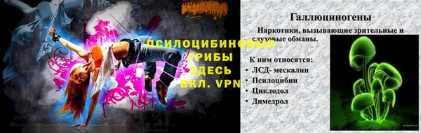 apvp Алексин