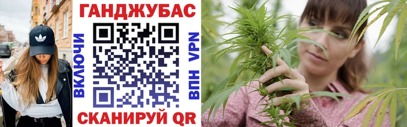 Каннабис гибрид Вышний Волочёк